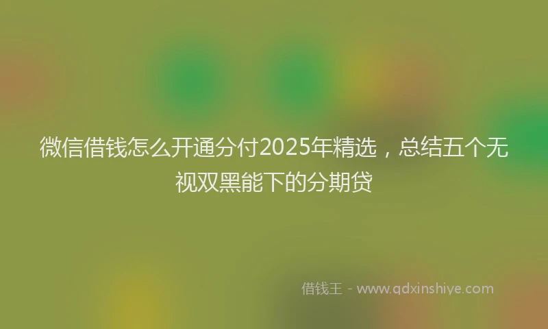 微信借钱怎么开通分付2025年精选，总结五个无视双黑能下的分期贷
