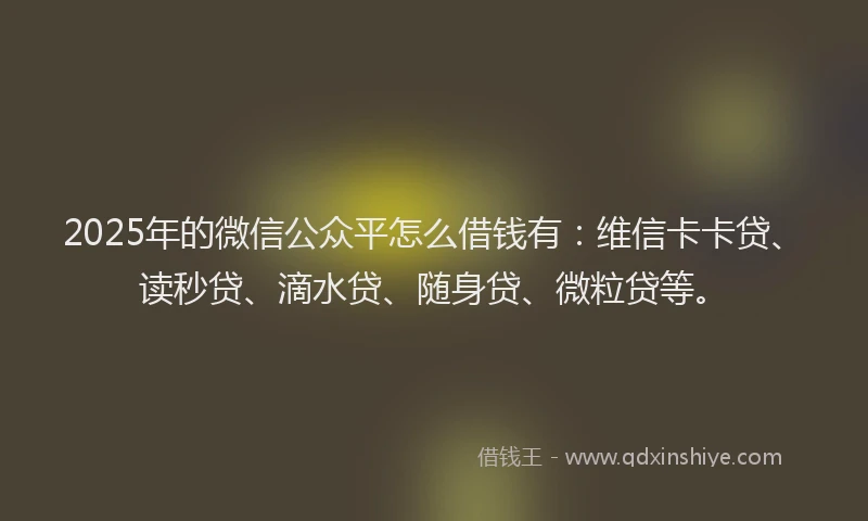 2025年的微信公众平怎么借钱有：维信卡卡贷、读秒贷、滴水贷、随身贷、微粒贷等。