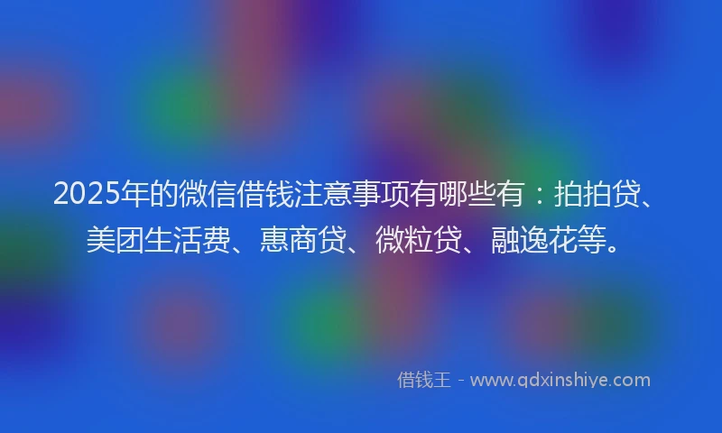 2025年的微信借钱注意事项有哪些有：拍拍贷、美团生活费、惠商贷、微粒贷、融逸花等。