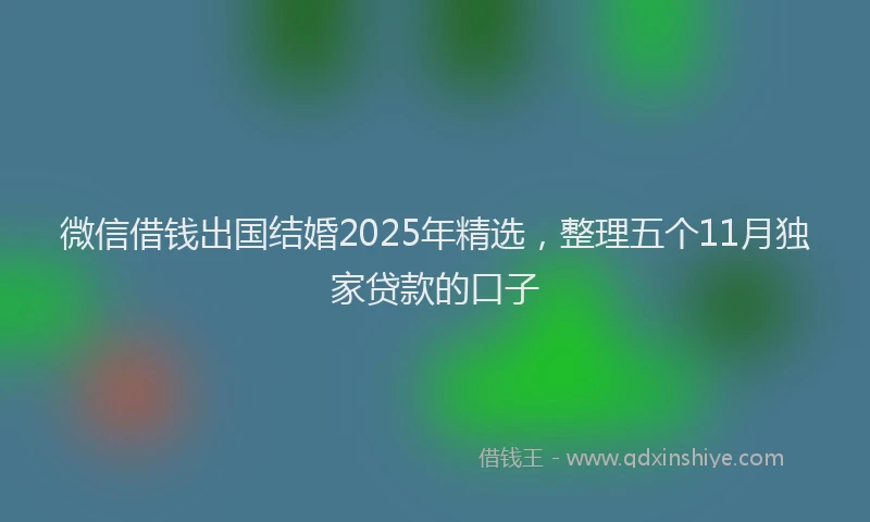 微信借钱出国结婚2025年精选，整理五个11月独家贷款的口子