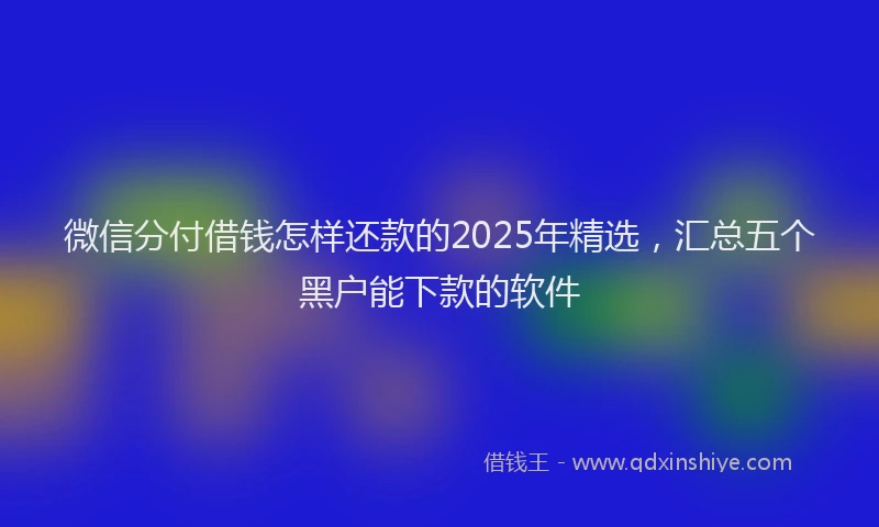 微信分付借钱怎样还款的2025年精选，汇总五个黑户能下款的软件