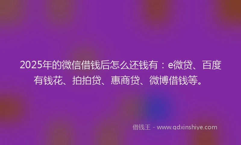 2025年的微信借钱后怎么还钱有：e微贷、百度有钱花、拍拍贷、惠商贷、微博借钱等。