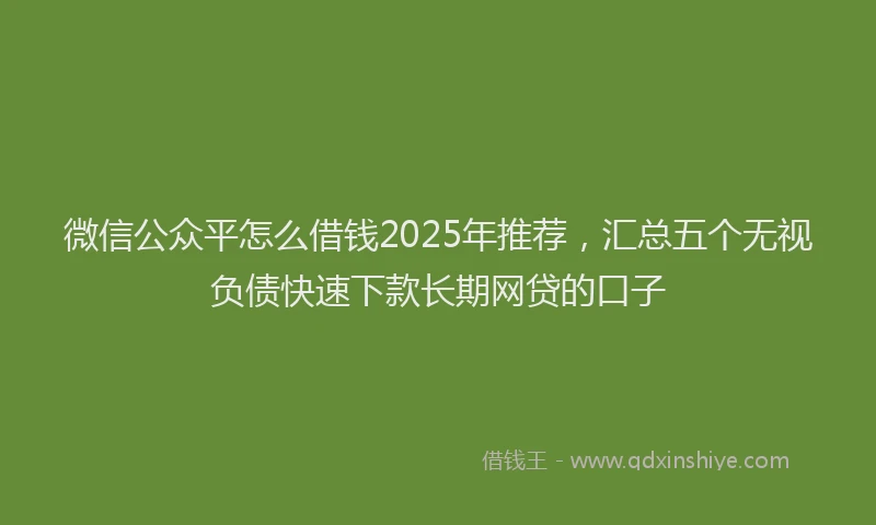 微信公众平怎么借钱2025年推荐，汇总五个无视负债快速下款长期网贷的口子