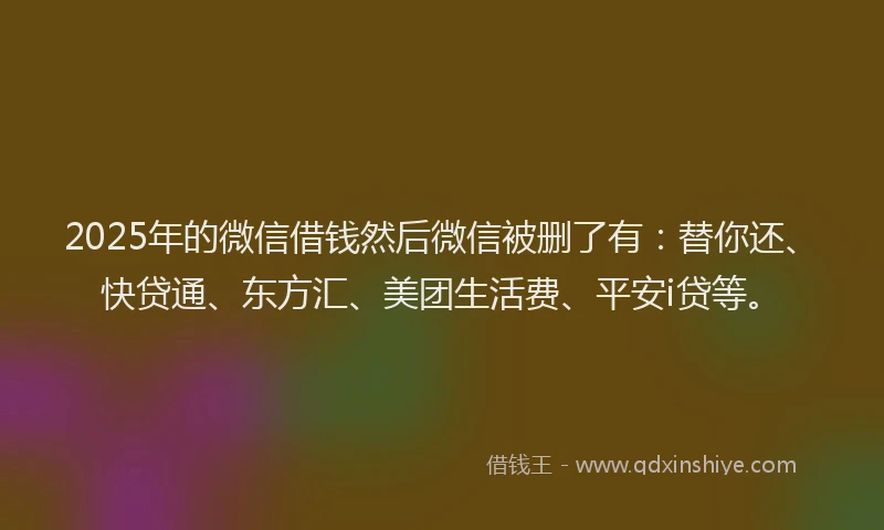 2025年的微信借钱然后微信被删了有：替你还、快贷通、东方汇、美团生活费、平安i贷等。