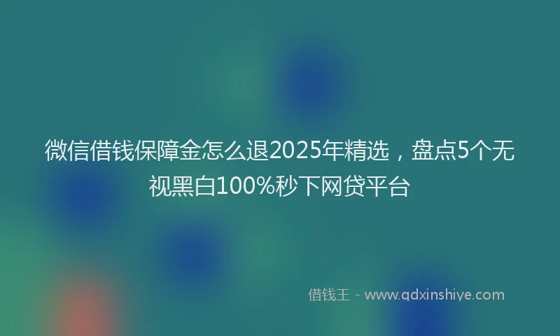 微信借钱保障金怎么退2025年精选，盘点5个无视黑白100%秒下网贷平台
