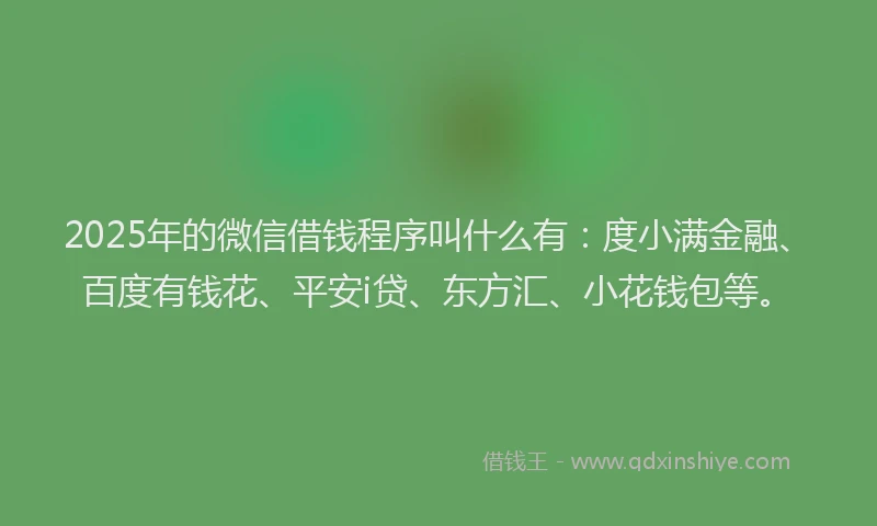 2025年的微信借钱程序叫什么有：度小满金融、百度有钱花、平安i贷、东方汇、小花钱包等。