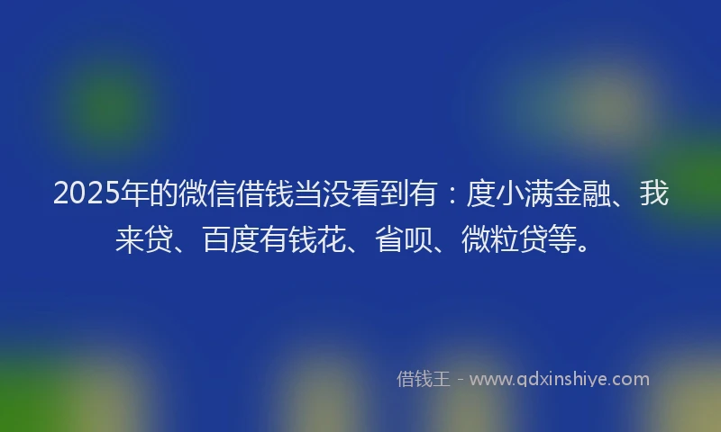 2025年的微信借钱当没看到有：度小满金融、我来贷、百度有钱花、省呗、微粒贷等。