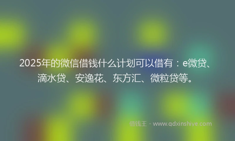 2025年的微信借钱什么计划可以借有：e微贷、滴水贷、安逸花、东方汇、微粒贷等。