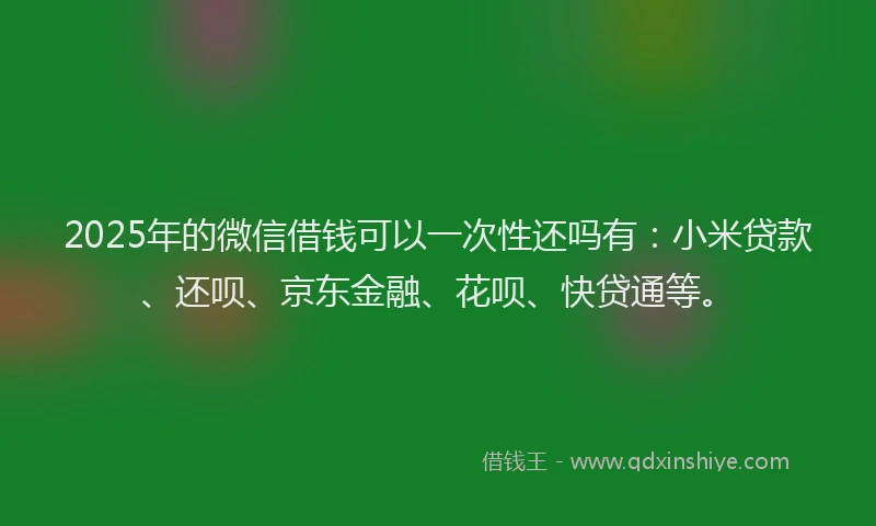 2025年的微信借钱可以一次性还吗有：小米贷款、还呗、京东金融、花呗、快贷通等。