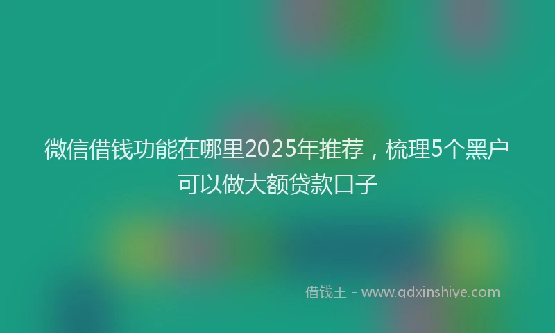微信借钱功能在哪里2025年推荐，梳理5个黑户可以做大额贷款口子