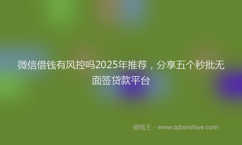 微信借钱有风控吗2025年推荐，分享五个秒批无面签贷款平台