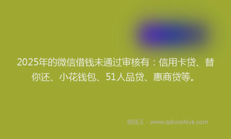 2025年的微信借钱未通过审核有：信用卡贷、替你还、小花钱包、51人品贷、惠商贷等。
