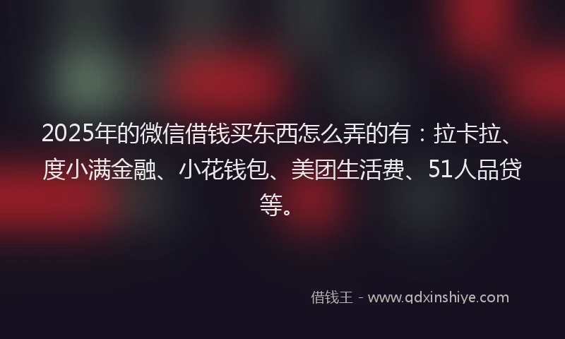 2025年的微信借钱买东西怎么弄的有：拉卡拉、度小满金融、小花钱包、美团生活费、51人品贷等。