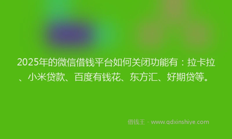 2025年的微信借钱平台如何关闭功能有：拉卡拉、小米贷款、百度有钱花、东方汇、好期贷等。