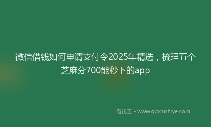 微信借钱如何申请支付令2025年精选，梳理五个芝麻分700能秒下的app