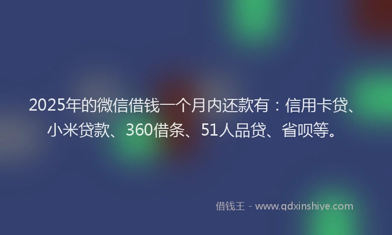 2025年的微信借钱一个月内还款有：信用卡贷、小米贷款、360借条、51人品贷、省呗等。