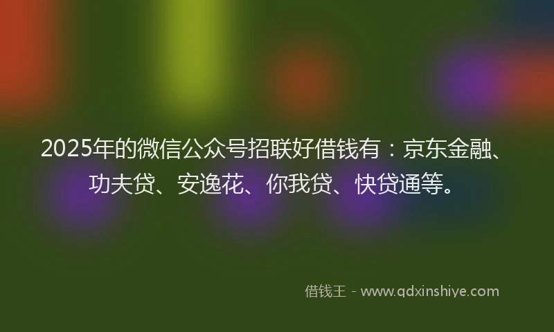 2025年的微信公众号招联好借钱有：京东金融、功夫贷、安逸花、你我贷、快贷通等。