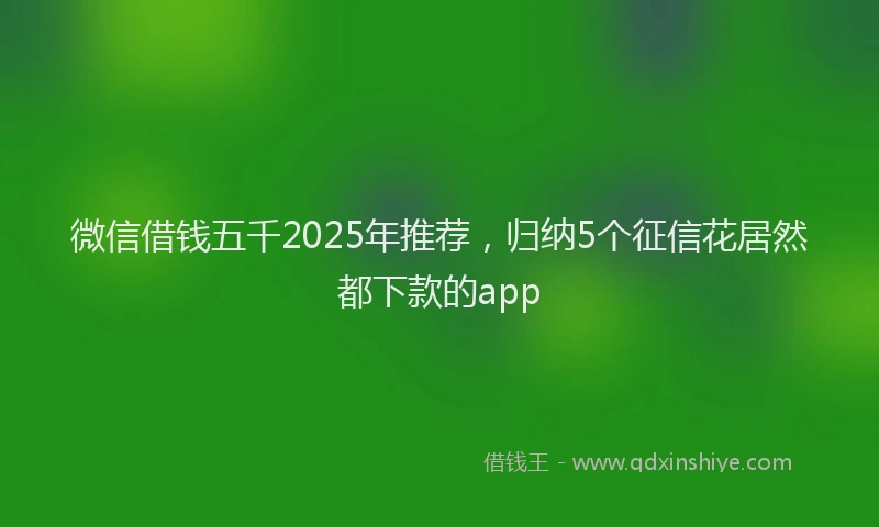 微信借钱五千2025年推荐，归纳5个征信花居然都下款的app