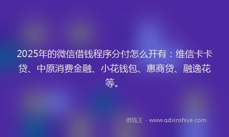 2025年的微信借钱程序分付怎么开有：维信卡卡贷、中原消费金融、小花钱包、惠商贷、融逸花等。