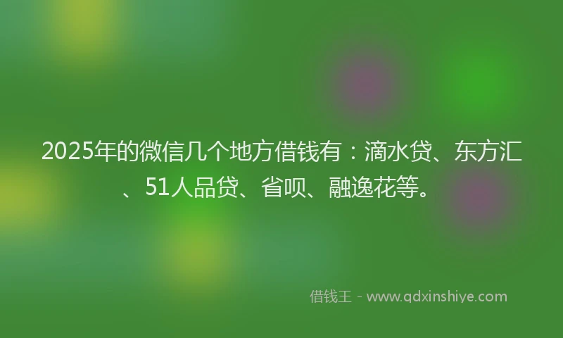 2025年的微信几个地方借钱有：滴水贷、东方汇、51人品贷、省呗、融逸花等。