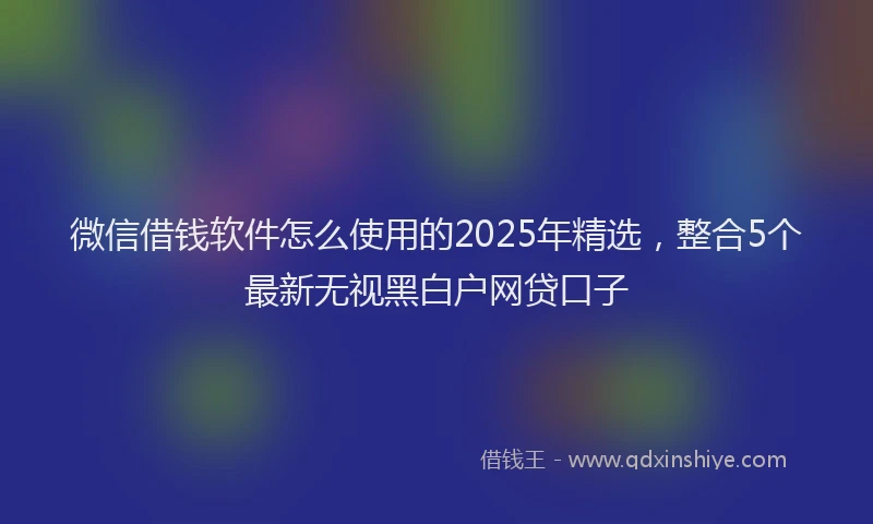 微信借钱软件怎么使用的2025年精选，整合5个最新无视黑白户网贷口子