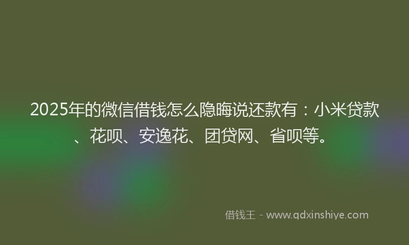 2025年的微信借钱怎么隐晦说还款有：小米贷款、花呗、安逸花、团贷网、省呗等。
