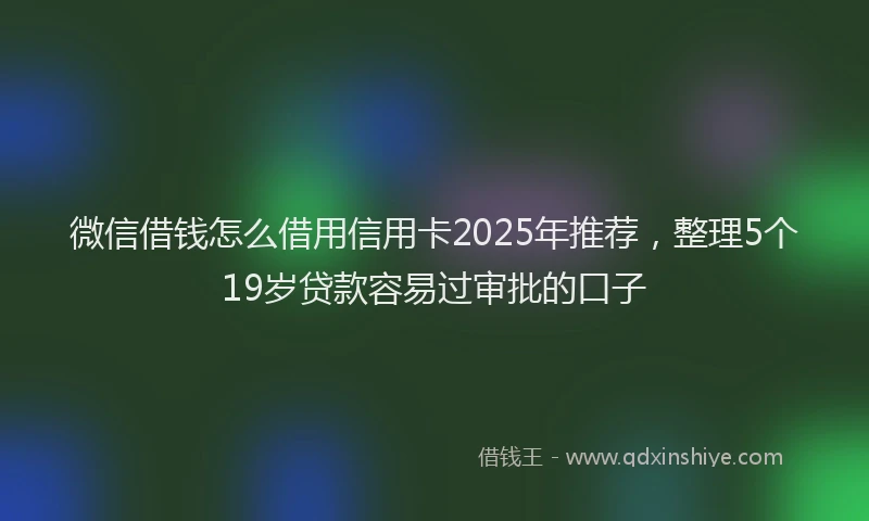 微信借钱怎么借用信用卡2025年推荐，整理5个19岁贷款容易过审批的口子