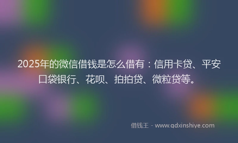 2025年的微信借钱是怎么借有：信用卡贷、平安口袋银行、花呗、拍拍贷、微粒贷等。