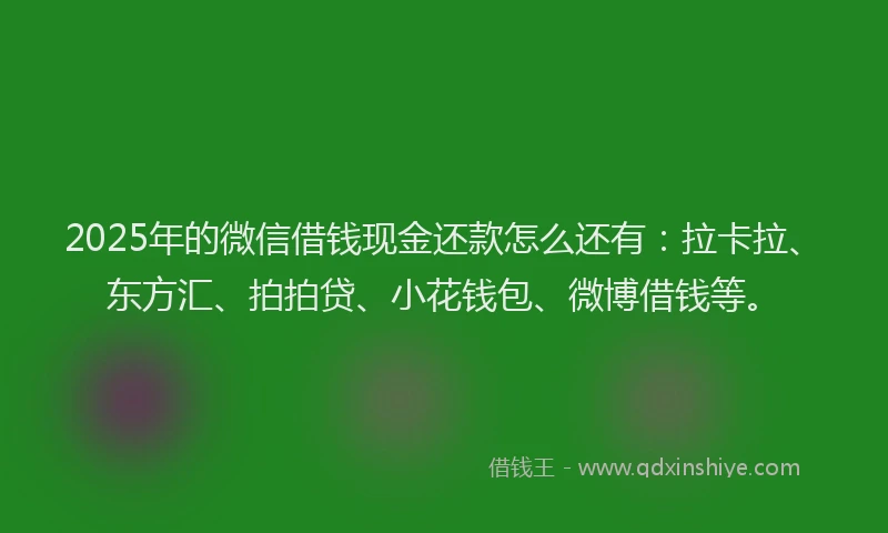 2025年的微信借钱现金还款怎么还有：拉卡拉、东方汇、拍拍贷、小花钱包、微博借钱等。