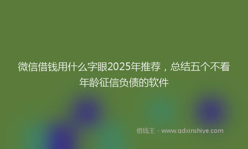 微信借钱用什么字眼2025年推荐，总结五个不看年龄征信负债的软件
