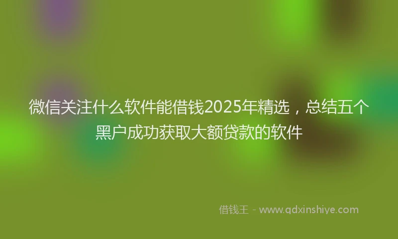 微信关注什么软件能借钱2025年精选，总结五个黑户成功获取大额贷款的软件
