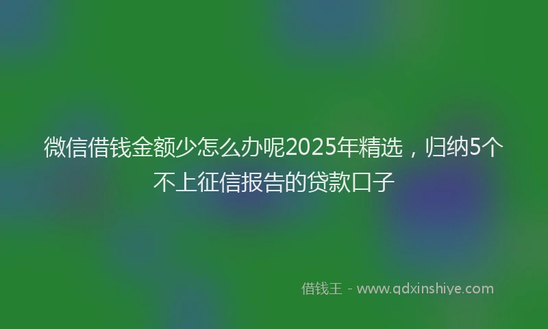 微信借钱金额少怎么办呢2025年精选，归纳5个不上征信报告的贷款口子