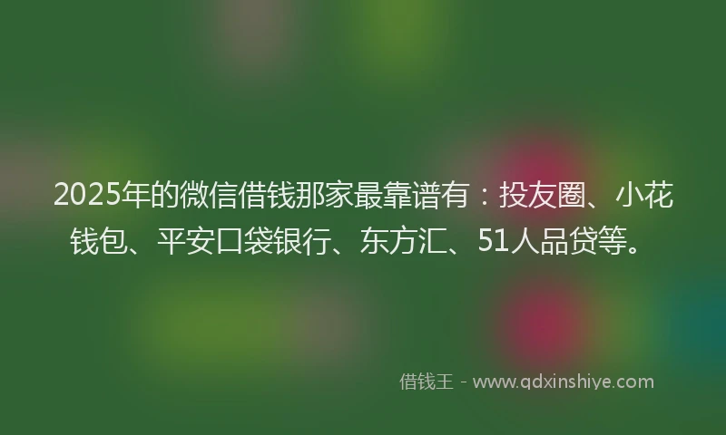 2025年的微信借钱那家最靠谱有：投友圈、小花钱包、平安口袋银行、东方汇、51人品贷等。