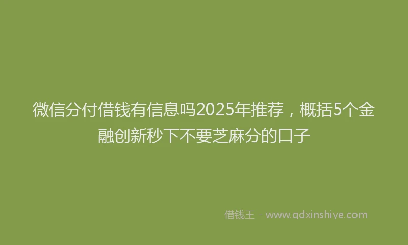 微信分付借钱有信息吗2025年推荐，概括5个金融创新秒下不要芝麻分的口子