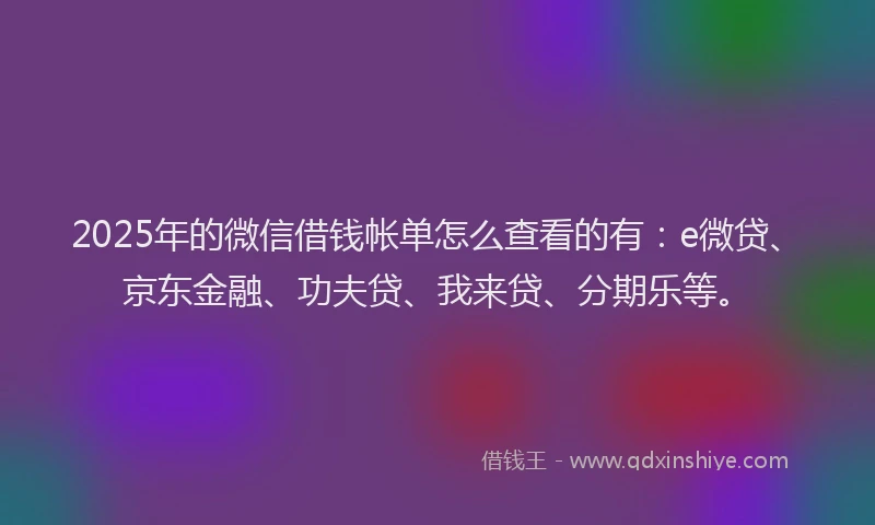 2025年的微信借钱帐单怎么查看的有：e微贷、京东金融、功夫贷、我来贷、分期乐等。