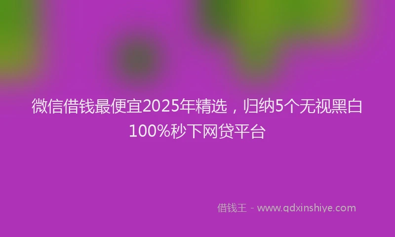 微信借钱最便宜2025年精选，归纳5个无视黑白100%秒下网贷平台