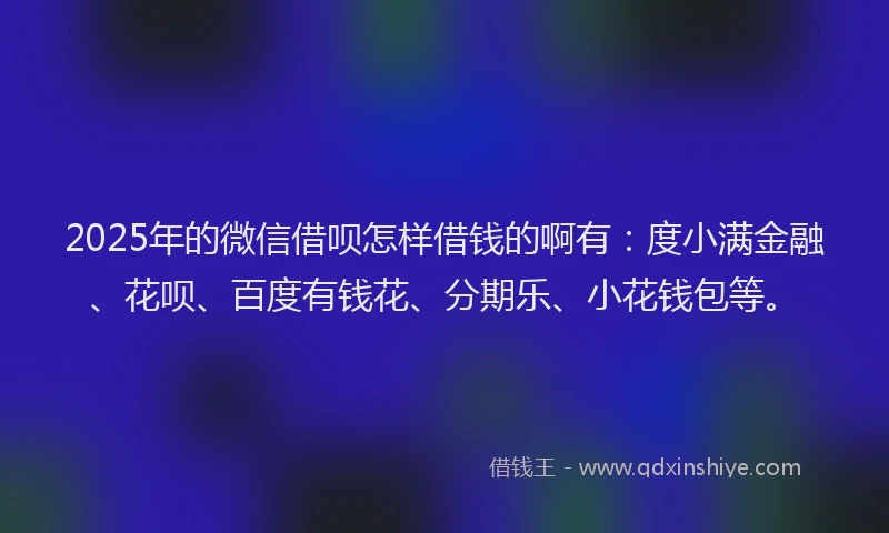 2025年的微信借呗怎样借钱的啊有：度小满金融、花呗、百度有钱花、分期乐、小花钱包等。