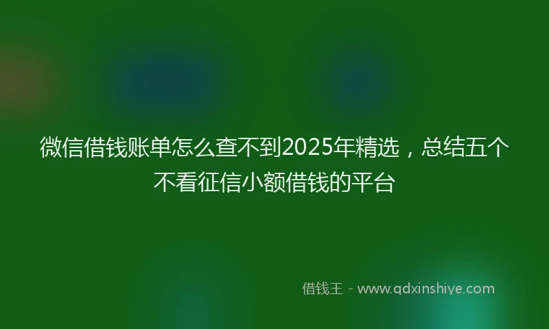 微信借钱账单怎么查不到2025年精选，总结五个不看征信小额借钱的平台