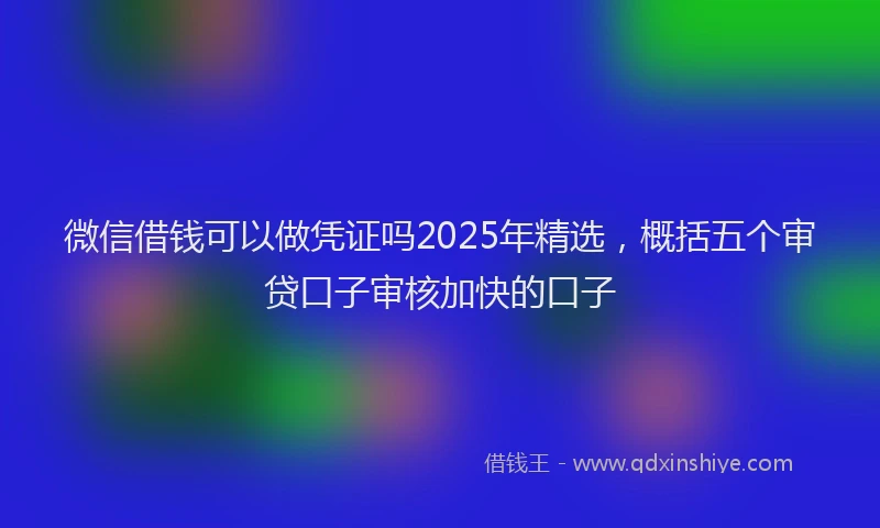 微信借钱可以做凭证吗2025年精选，概括五个审贷口子审核加快的口子