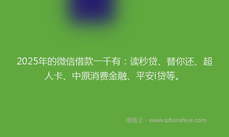 2025年的微信借款一千有：读秒贷、替你还、超人卡、中原消费金融、平安i贷等。