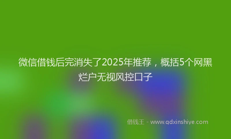 微信借钱后完消失了2025年推荐，概括5个网黑烂户无视风控口子