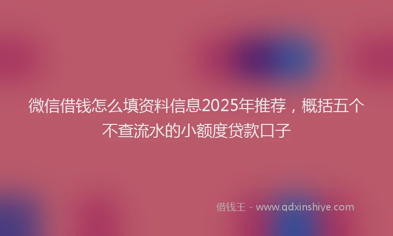 微信借钱怎么填资料信息2025年推荐，概括五个不查流水的小额度贷款口子