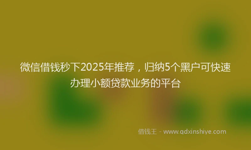 微信借钱秒下2025年推荐，归纳5个黑户可快速办理小额贷款业务的平台