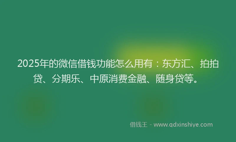 2025年的微信借钱功能怎么用有：东方汇、拍拍贷、分期乐、中原消费金融、随身贷等。