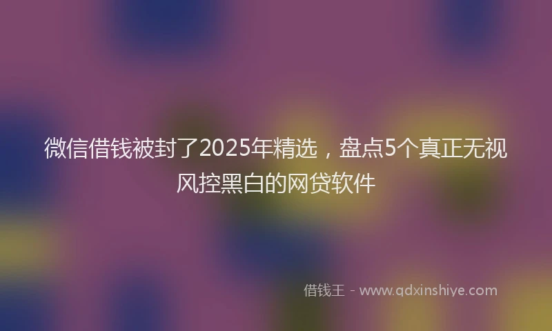 微信借钱被封了2025年精选，盘点5个真正无视风控黑白的网贷软件