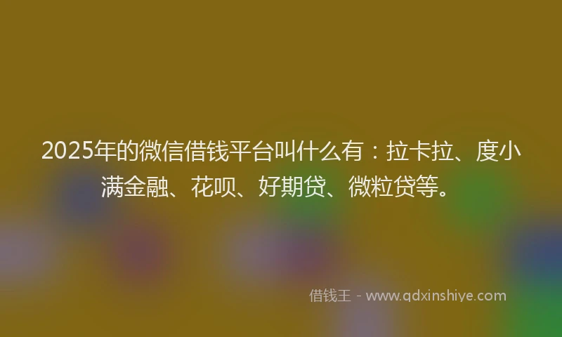 2025年的微信借钱平台叫什么有：拉卡拉、度小满金融、花呗、好期贷、微粒贷等。