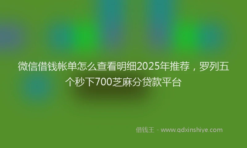 微信借钱帐单怎么查看明细2025年推荐，罗列五个秒下700芝麻分贷款平台