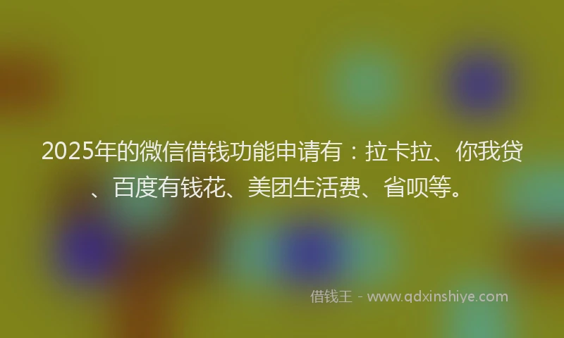 2025年的微信借钱功能申请有：拉卡拉、你我贷、百度有钱花、美团生活费、省呗等。