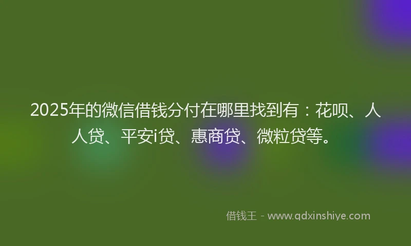 2025年的微信借钱分付在哪里找到有：花呗、人人贷、平安i贷、惠商贷、微粒贷等。