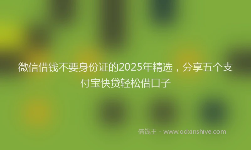 微信借钱不要身份证的2025年精选，分享五个支付宝快贷轻松借口子